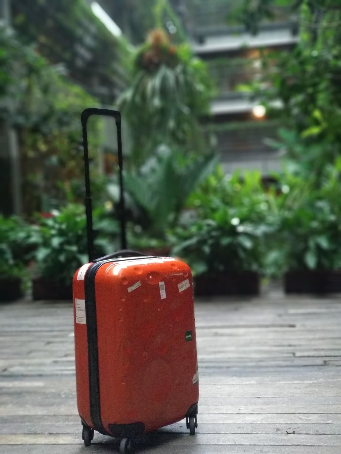 Voyageur consultant une carte